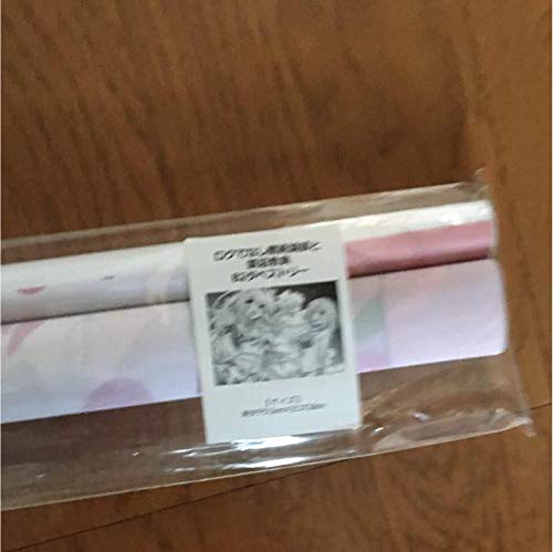 ロクでなし魔術講師と禁忌教典 サイン入り B2タペストリー Amazon.co.jp: ろくでなし魔術講師と禁忌教典 B2タペストリー